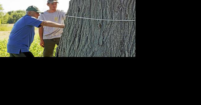 At an Arbor Day celebration Sunday, the city honored Robert Presutti Sr. — one of its most prolific arborists and volunteers - Vimarsana News