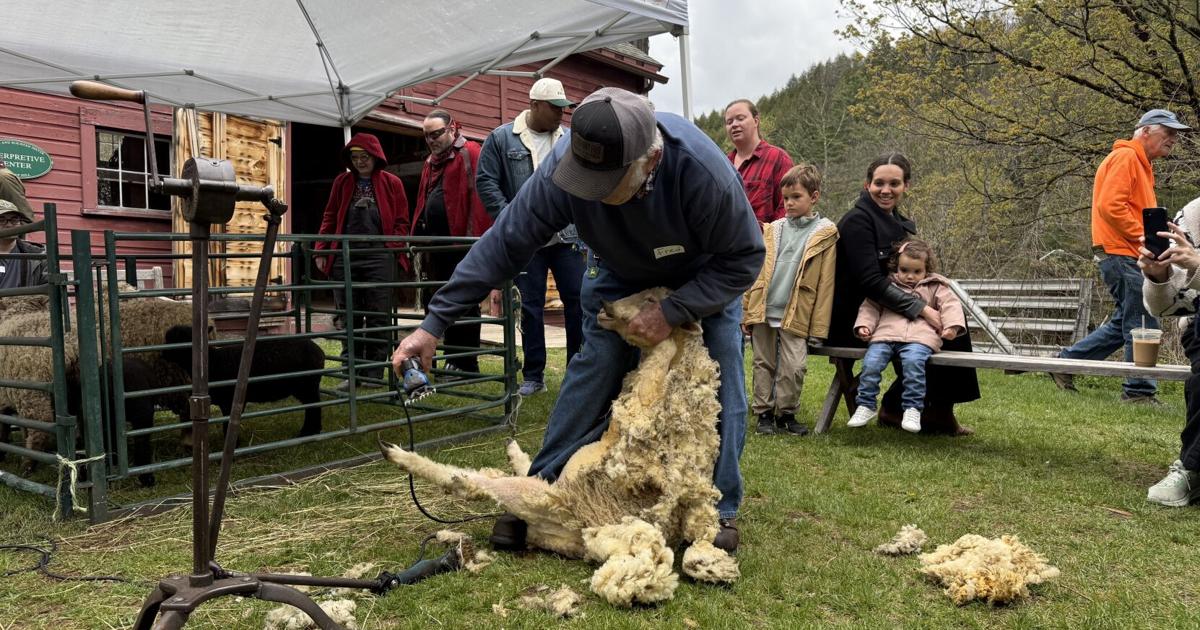 Williamstown's Sheep to Shawl Festival celebrates wool, fiber arts and rural tradition