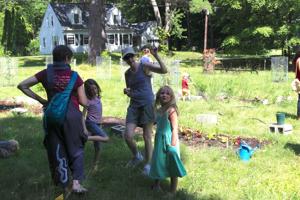 How one Williamstown front yard became a community garden with a mission