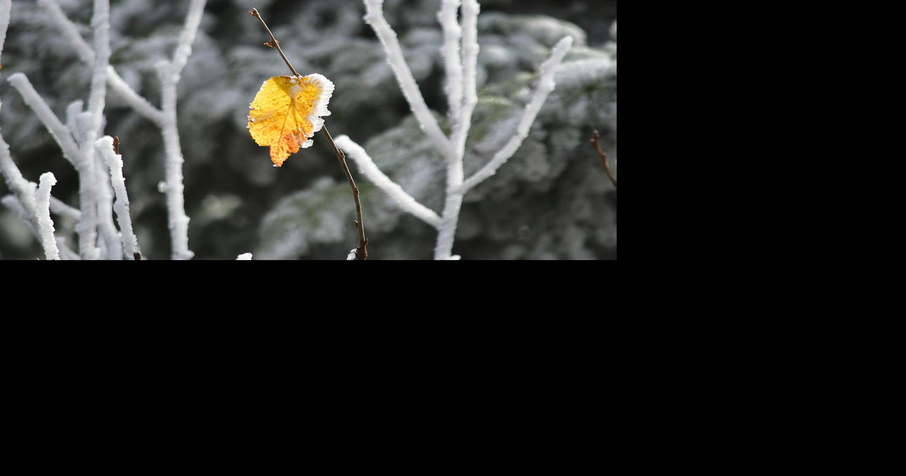 A warmup is just ahead, but no rain is predicted for the Berkshires