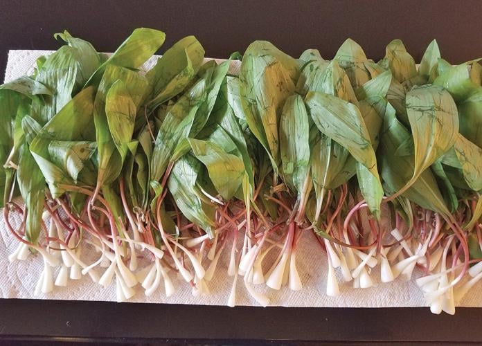 Spring foraging: Amp up the flavor with fresh ramps