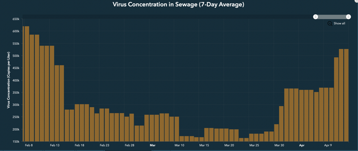 Virus Concentrations in Pittsfield Wastewater.png