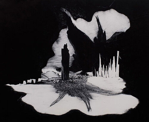 Paul Caponigro holds land, feeling on camera at Harrison Gallery