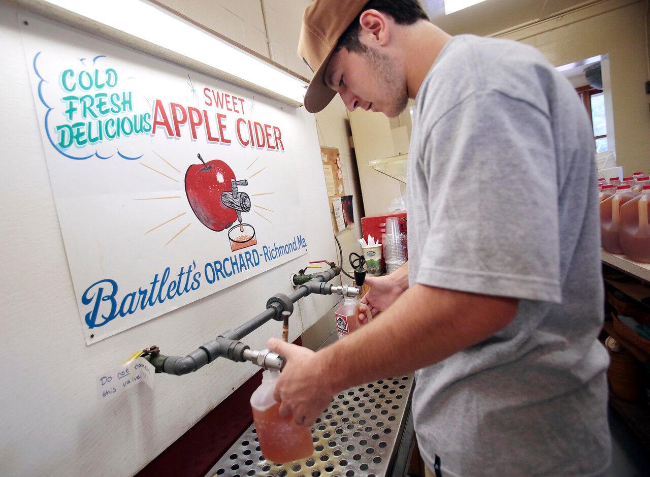 You voted Who has the most delicious apple cider doughnuts in the