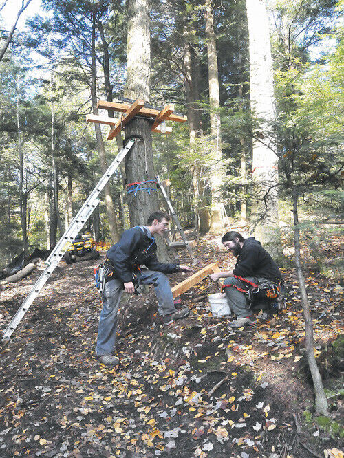 Zipline adventure park to open on Brodie Mountain in Lanesborough