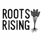 Roots Rising, Berkshire Black Economic Council announce BIPOC Vendor Fund recipients - Vimarsana News