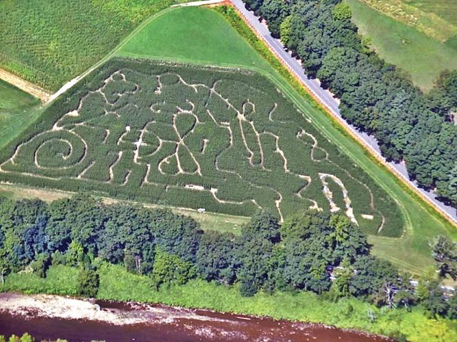 Find your way out of the Hicks Family Farm Corn Maze