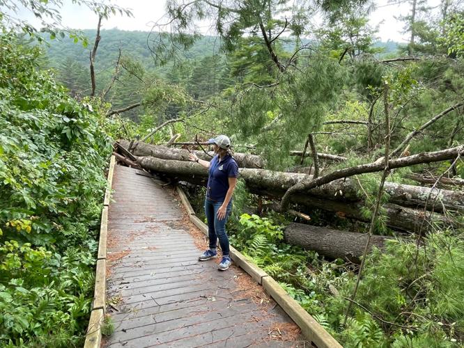 Woman inspects storm damage to boardwalk path