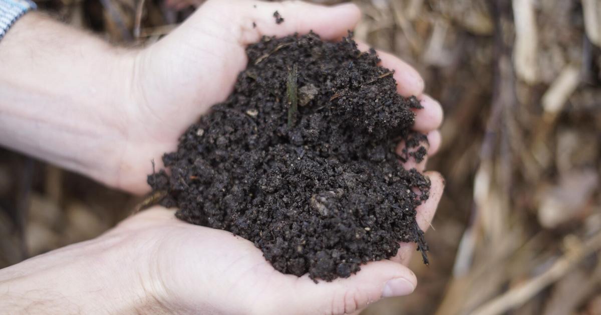 The next 'natural' step in waste removal? Composting. Here's how some ...