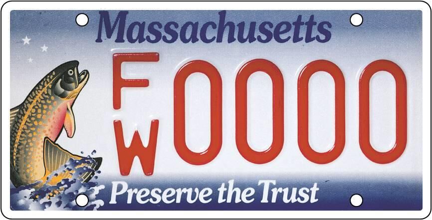 brook trout license plate