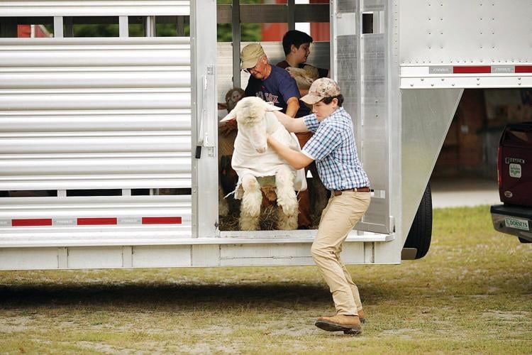 4-H Youth Fair: By kids for kids