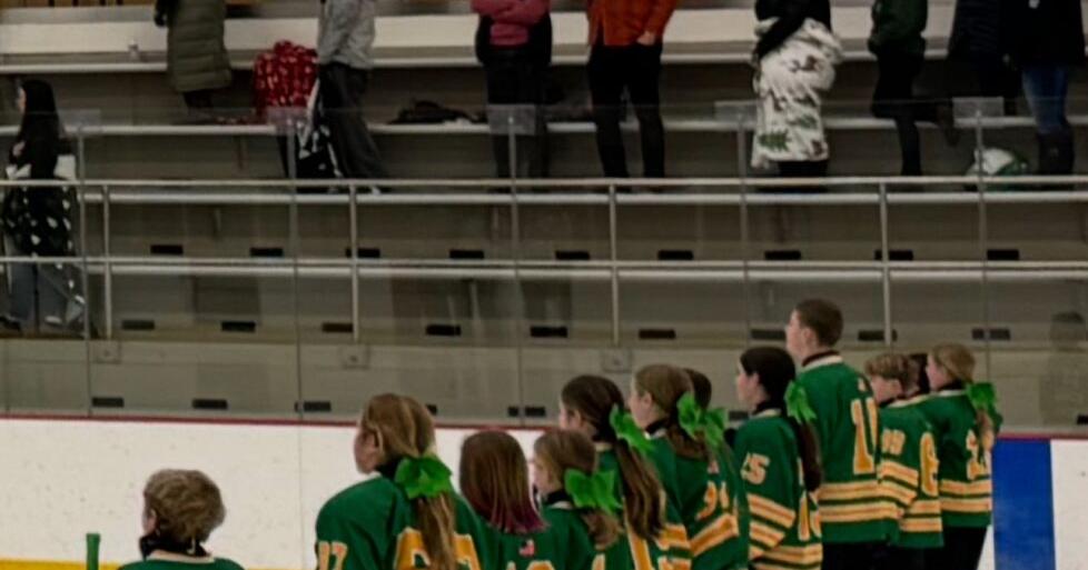 hockey team lines up