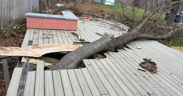 A new deck at the Mary Spitzer Senior Center was almost ready for use. Then a tree fell on it