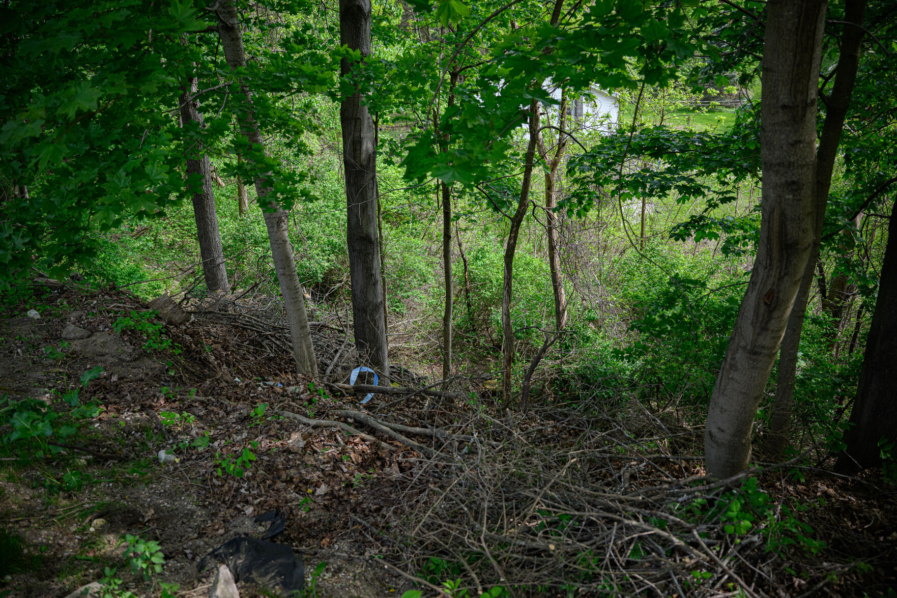 Skeletal Remains Believed To Be Human Found Down An Embankment In ...