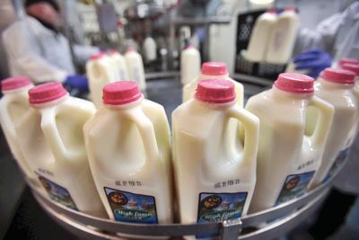 Sarah Gardner: Drinking milk is a political act