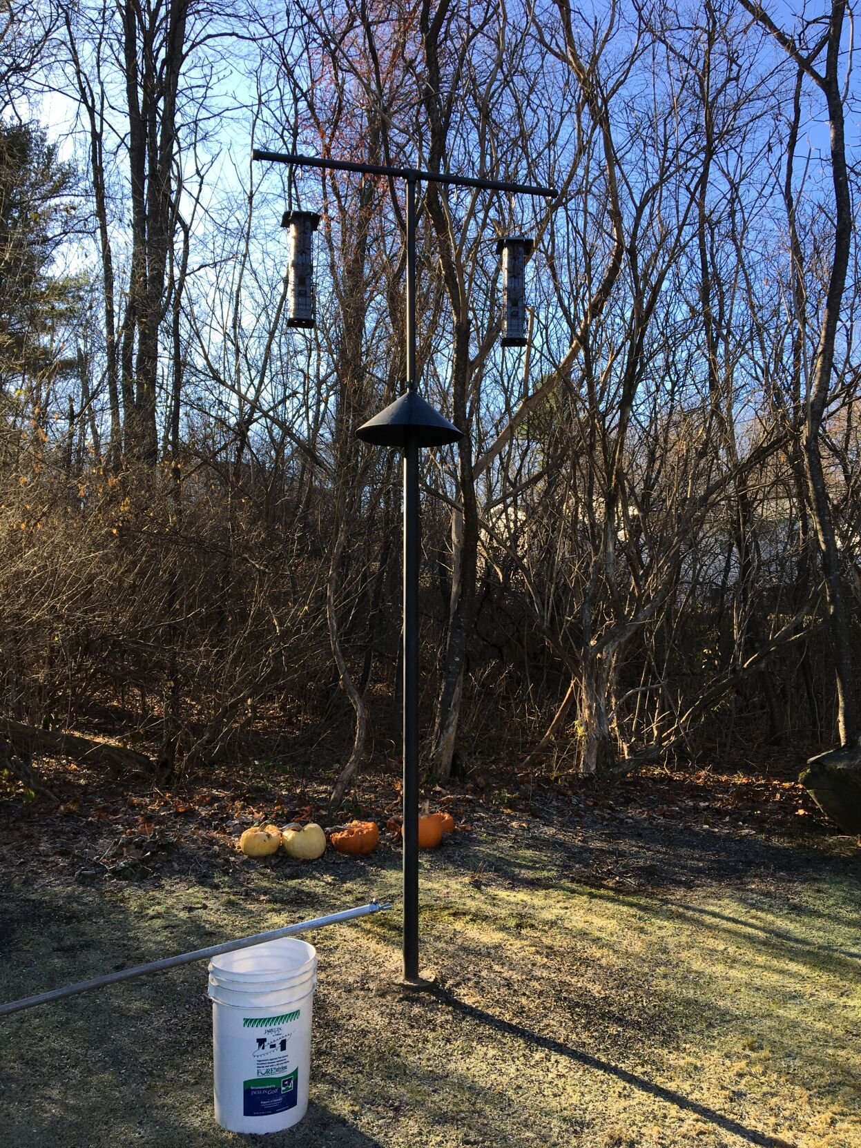 Bird deals feeder posts