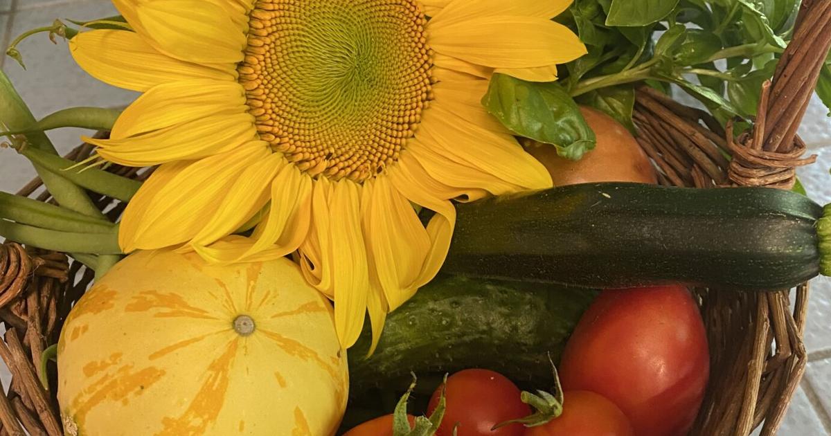 Farm markets and backyard plots gain followers