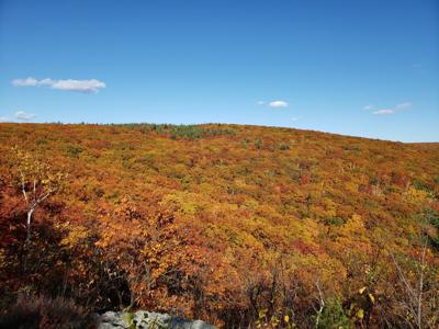 Top 10 walks to see fall foliage in the Berkshires