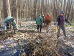 ‘Protecting the beauty we have.’ Lee Greener Gateway Committee removes invasive plant species from local parks – The Berkshire Eagle