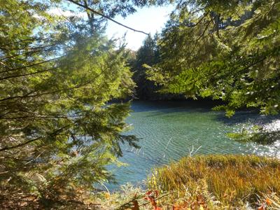 Harmon pond