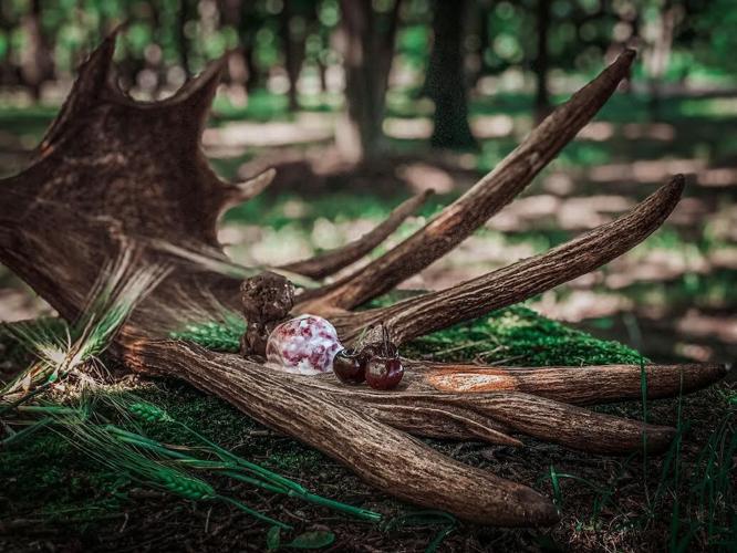 Moose antler and smoked seasonal berry ice cream.