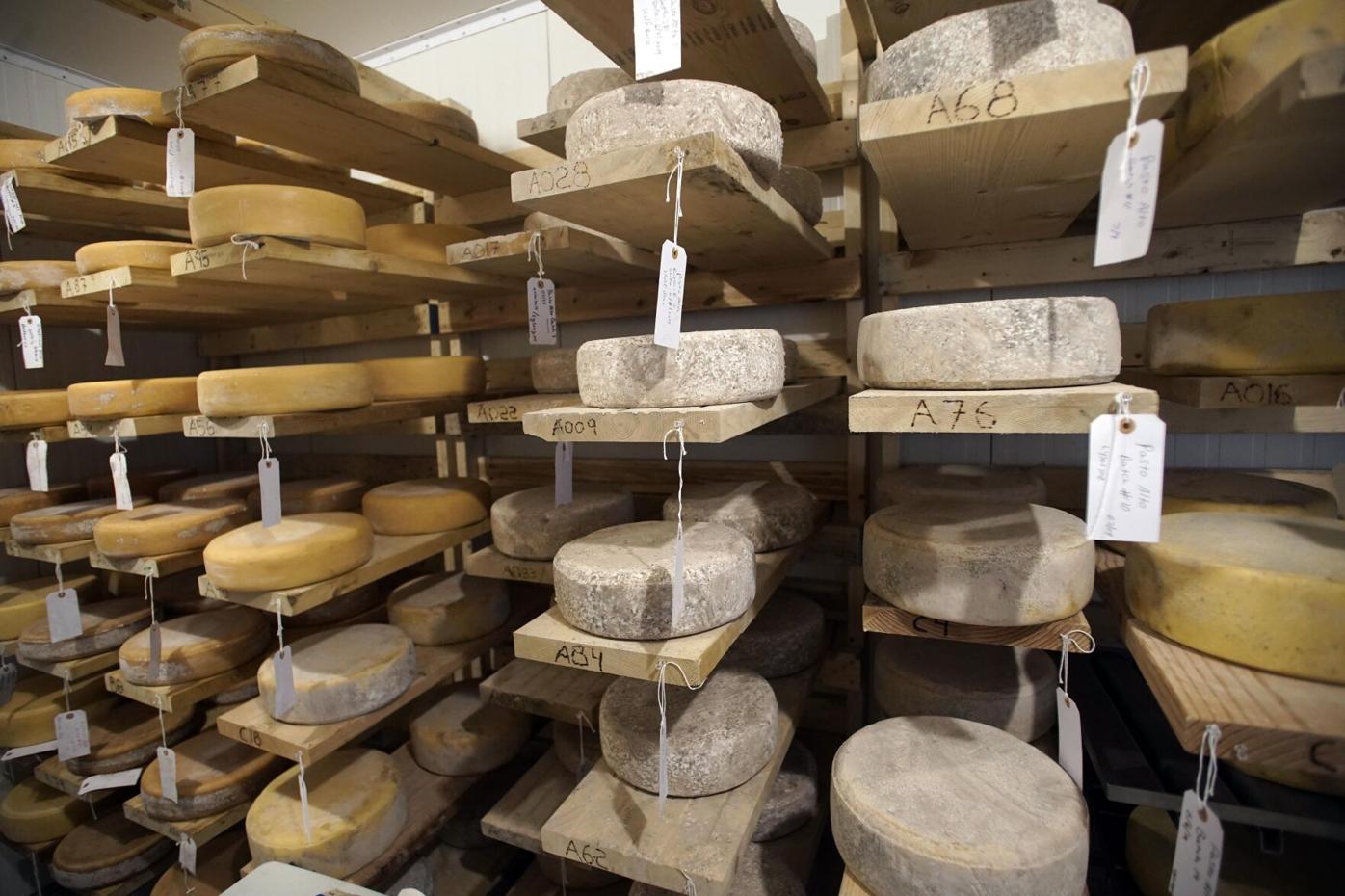 RG Cheesemakers, Artisan Cheese