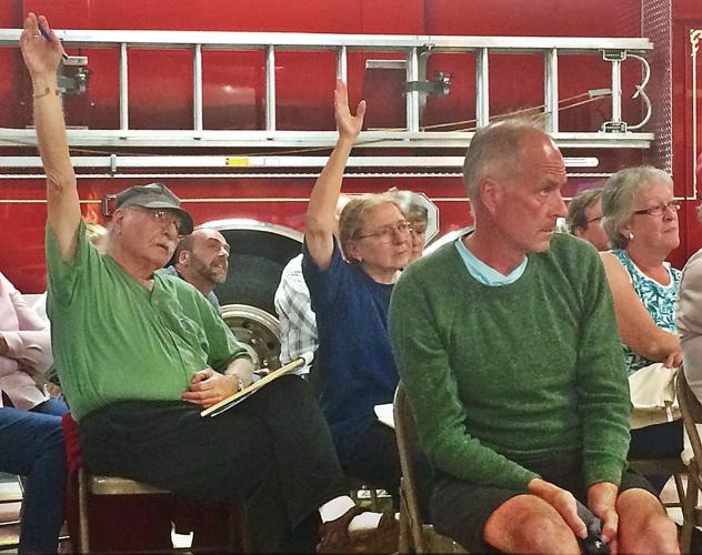 Wind power opponents dominate comments at Savoy hearing