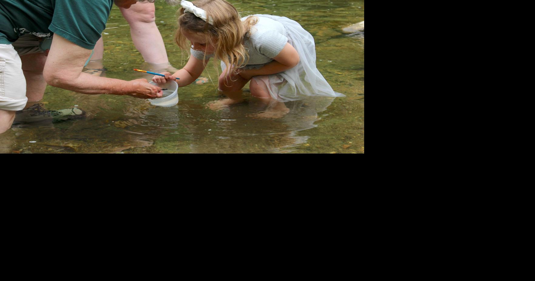 Children find signs of a healthy Hoosic River at North Adams River Fest