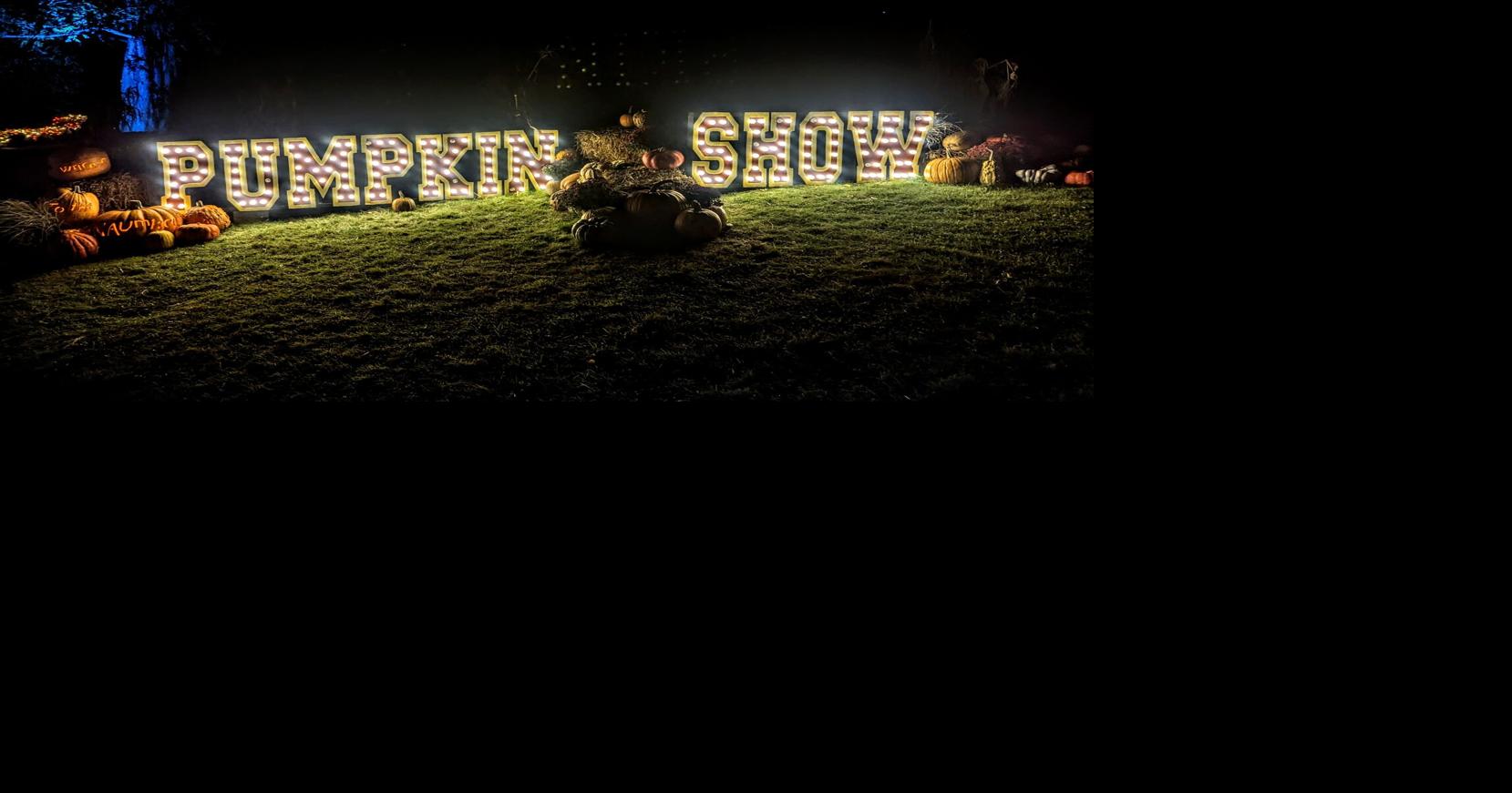 PHOTOS 2023 INCREDIBLE NAUMKEAG PUMPKIN SHOW Multimedia