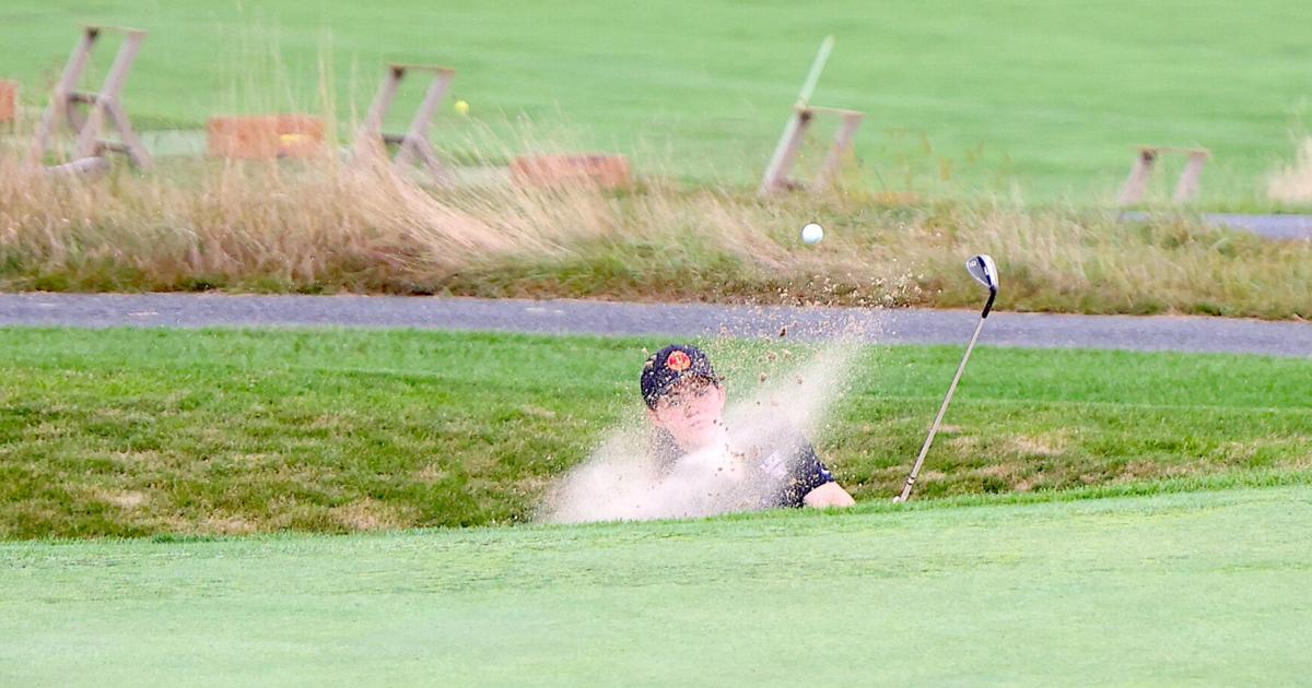 Shove shines as Lenox High golf spoils Pittsfield's long-awaited return