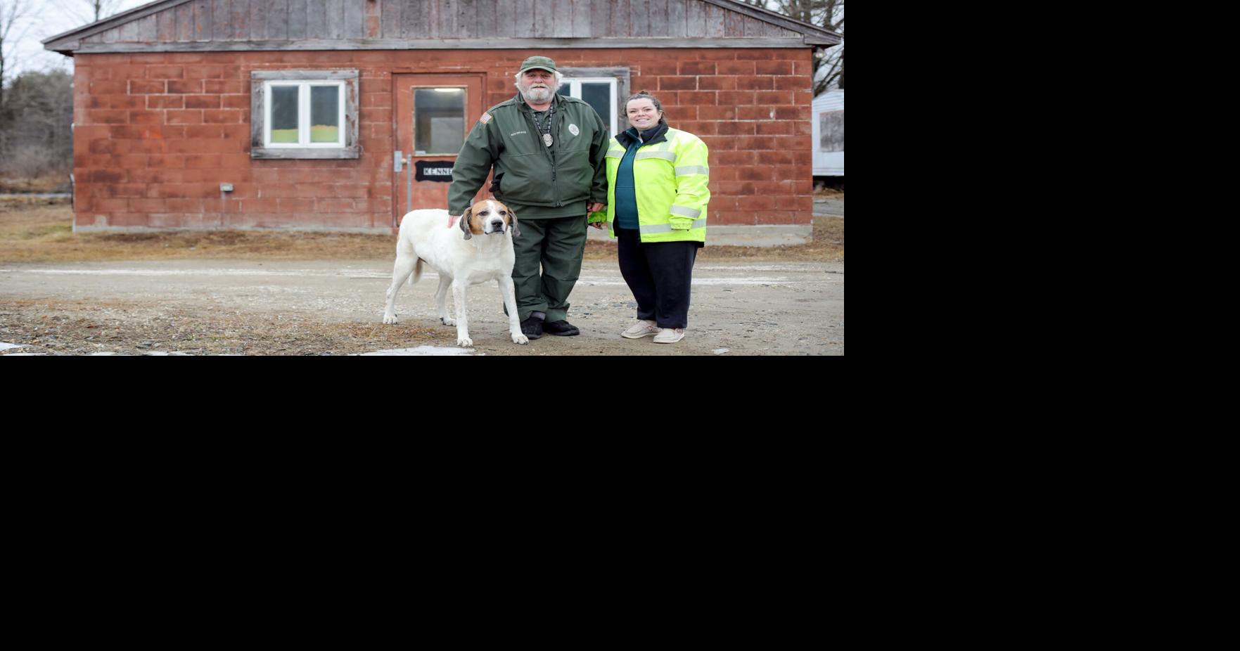 Nine Berkshire County towns to consider adopting a regional animal control program