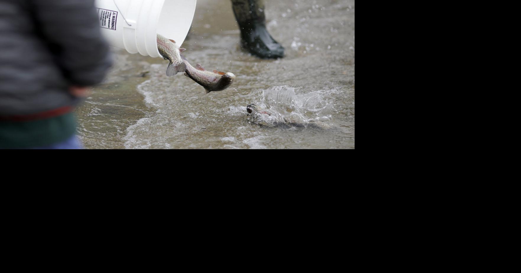 MA Anglers Face Debate Over Fish Stocking & Ecosystem Impact