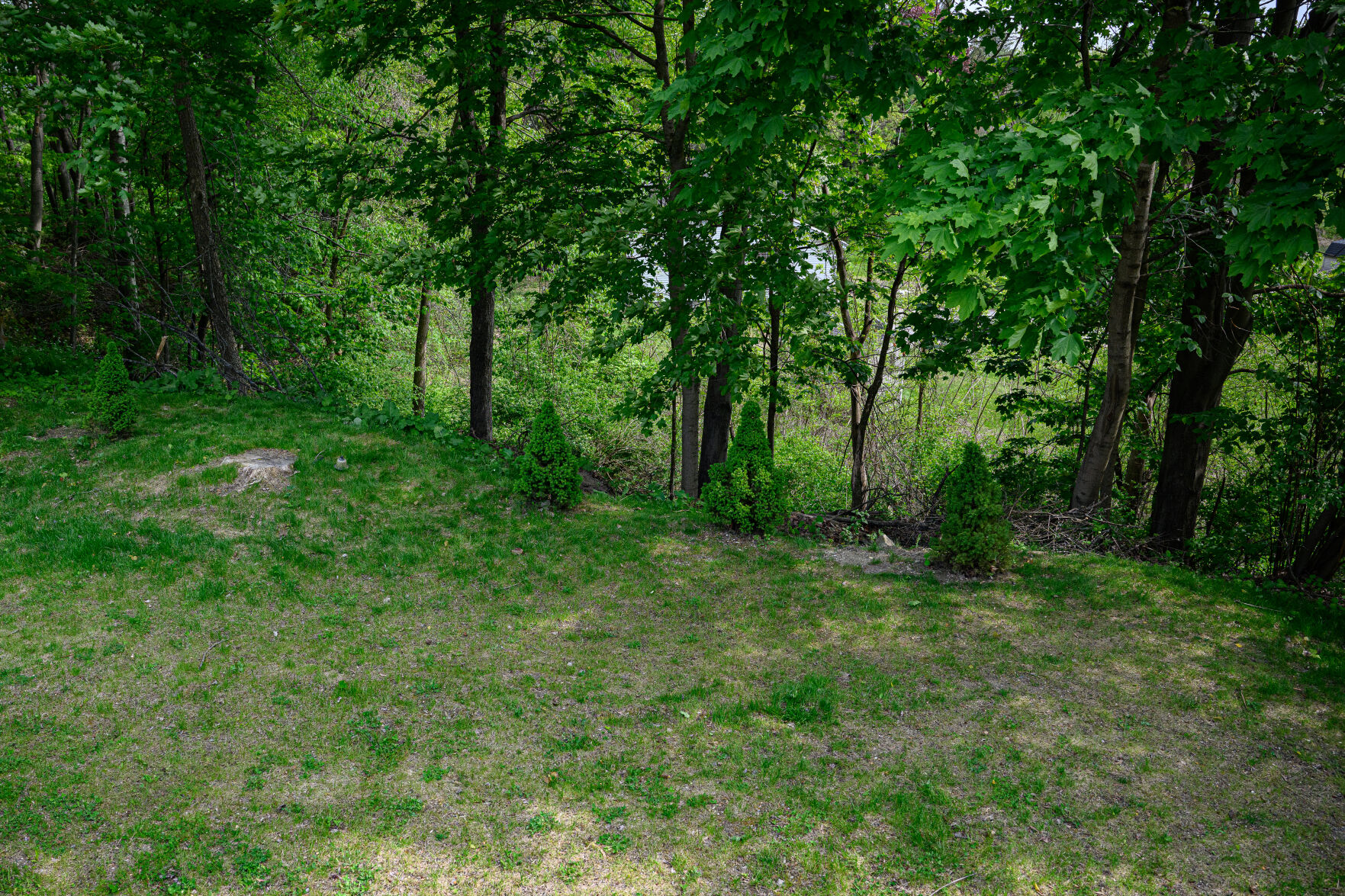 Skeletal Remains Believed To Be Human Found Down An Embankment In ...