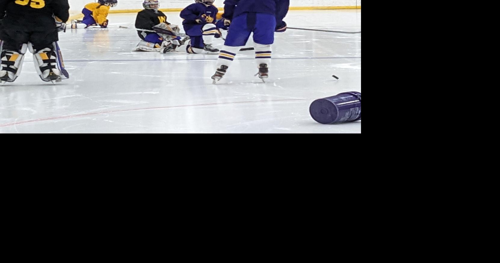 Williams College women's hockey team looking to compete for a NESCAC