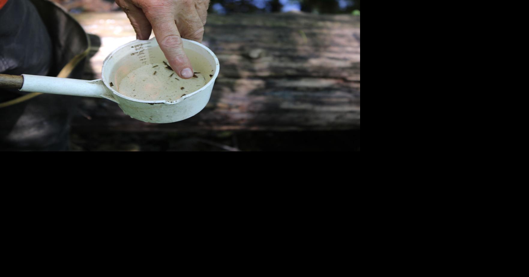 Cup of bugs (copy)