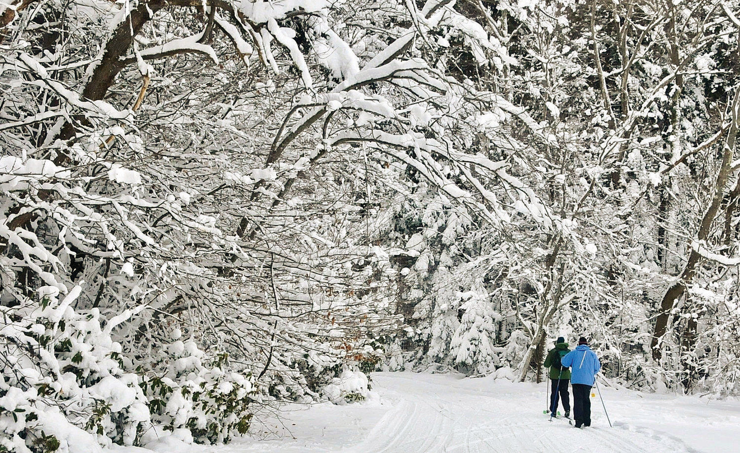 Early cold, snow spark demand for cross-country skiing, equipment