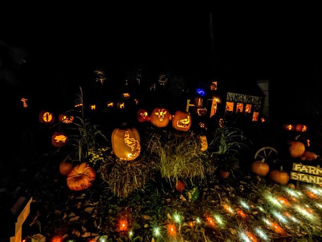 PHOTOS 2023 INCREDIBLE NAUMKEAG PUMPKIN SHOW Multimedia