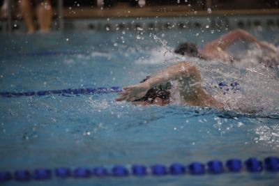 swimmers race