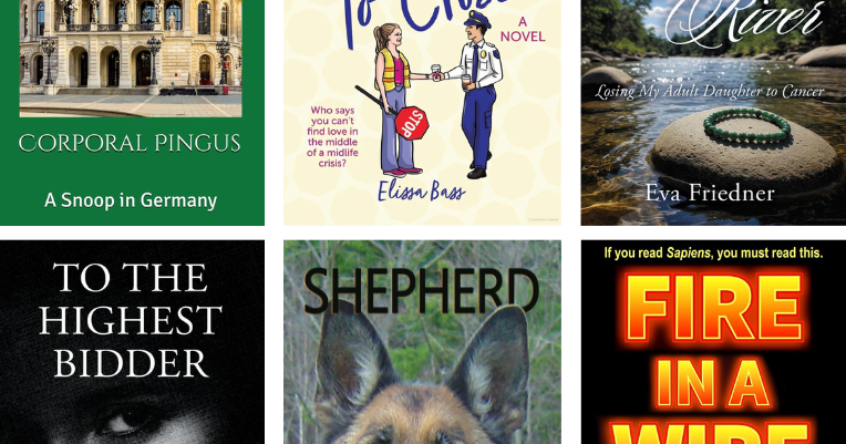 REVIEW: 6 books from Berkshire authors to add to your reading list