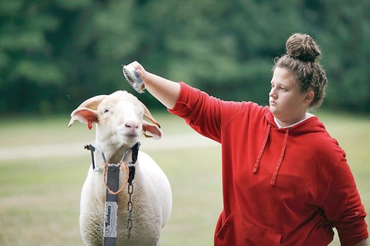 4-H Youth Fair: By kids for kids