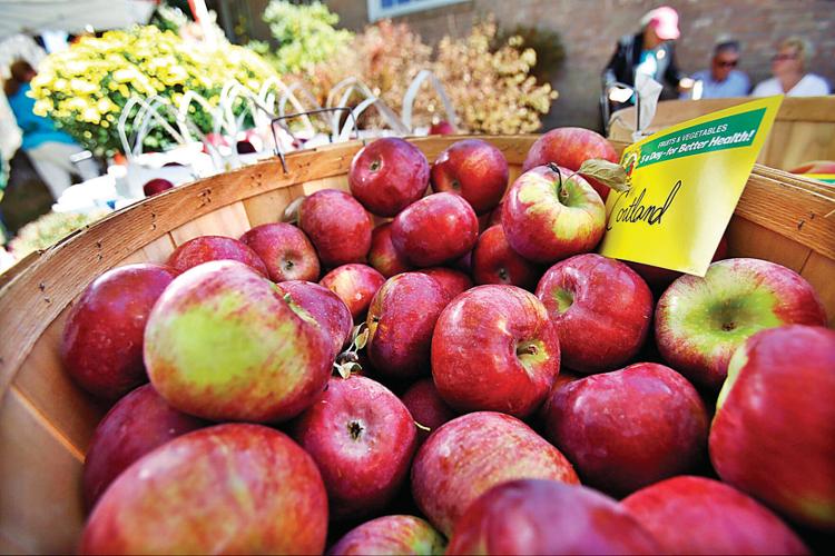 38th Apple Squeeze: Up to 20,000 expected for fruit fest