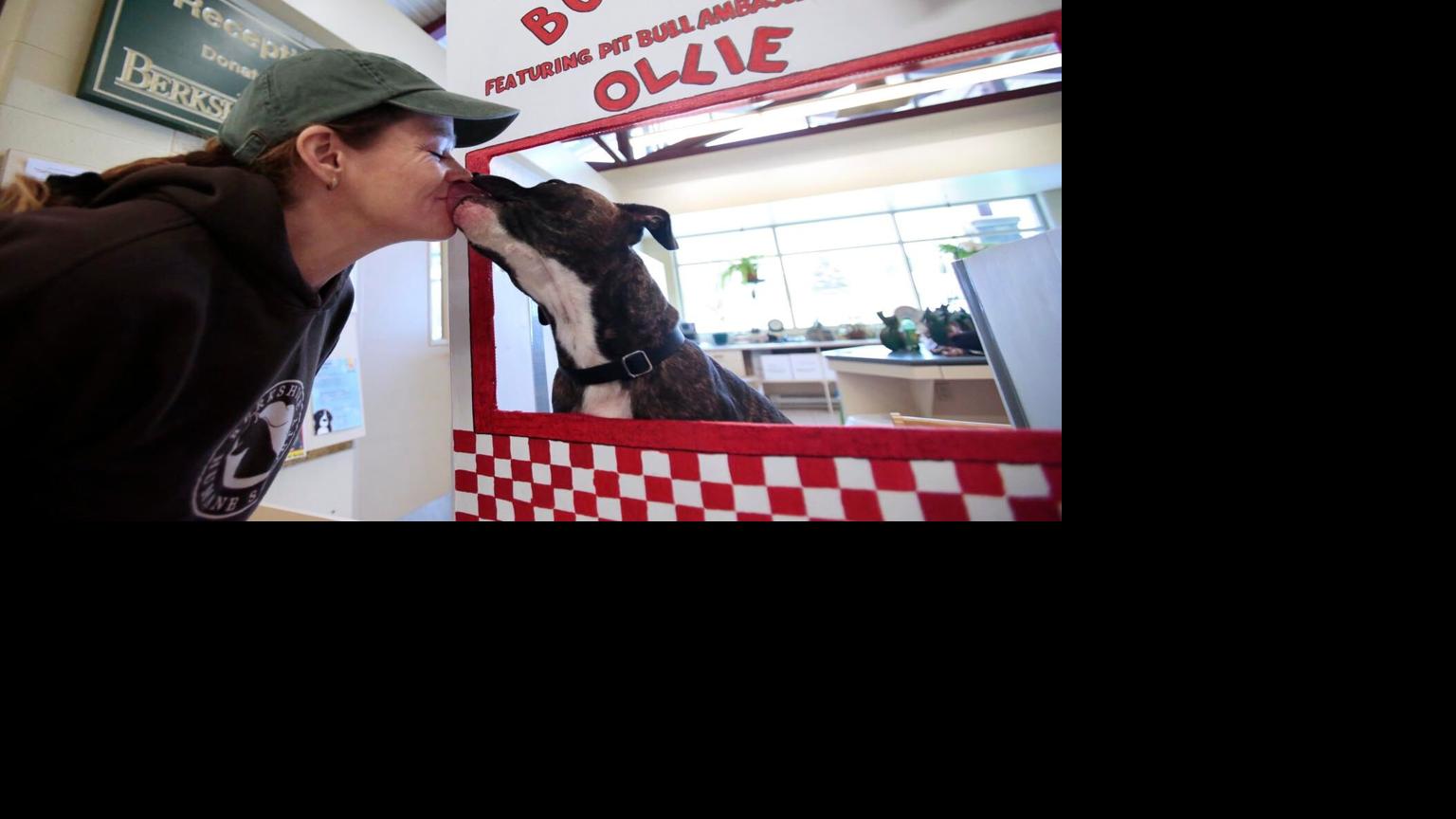 pit bull specialist to outline truths