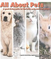 All About Pets 2021