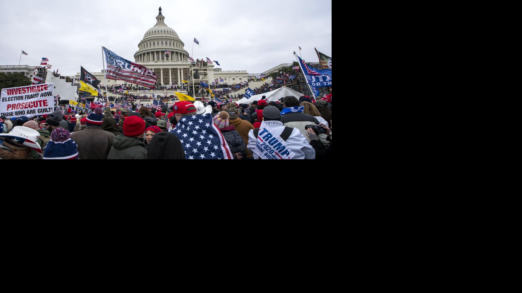 Dalton Delan | The Unspin Room: Transmissions from the bottom of the rabbit hole | Columnists