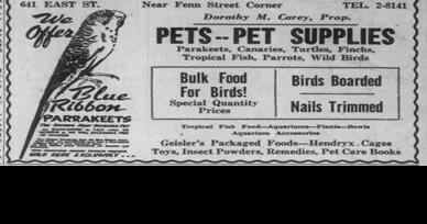 Jim Shulman: Carey's pet shop taught youngsters how to care for their pets | History - Vimarsana News