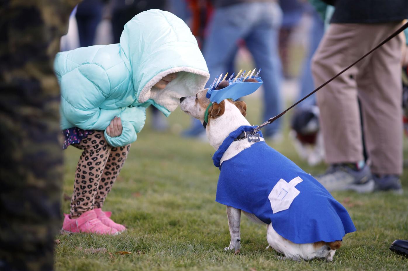 dog dressed in hanukkah costume greets little girl