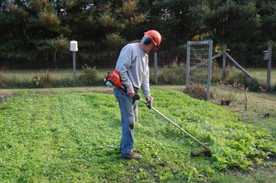 Man with weed wacker in garden