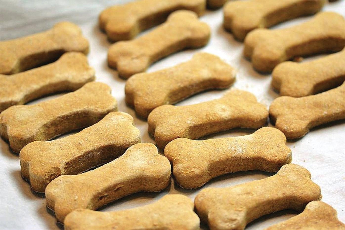 Cook for Your Pet Day: Your pets deserve tasty treats too