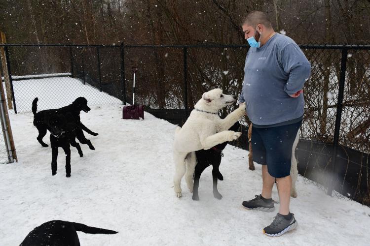 Kohlenberger stands outside with some dogs (copy)