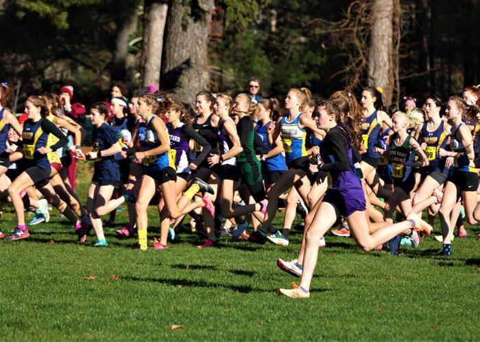 Photos Girls compete at the MIAA State CrossCountry Championship